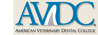 veterinary dental specialist